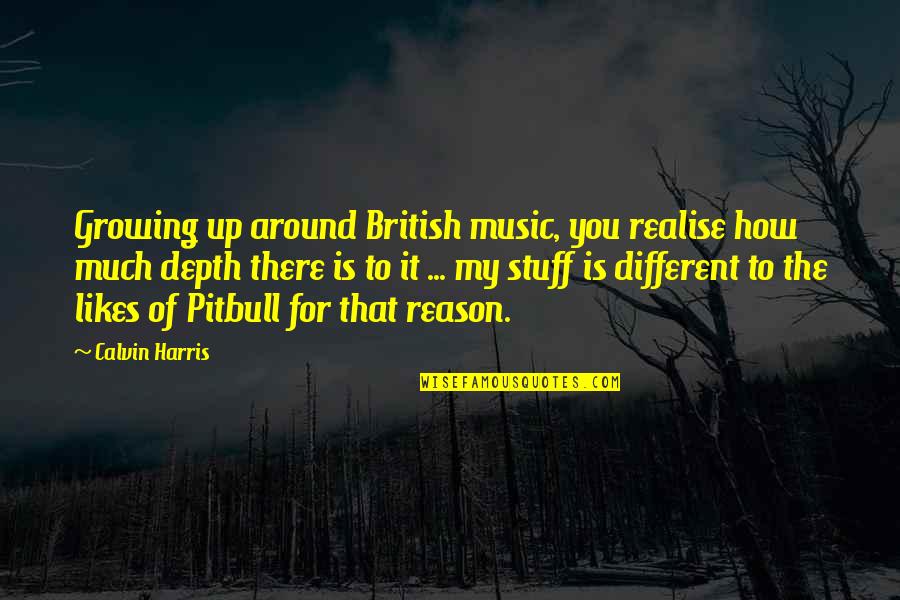 Delicate Quotes And Quotes By Calvin Harris: Growing up around British music, you realise how Delicate Quotes And Quotes By Calvin Harris: Growing up around British music, you realise how