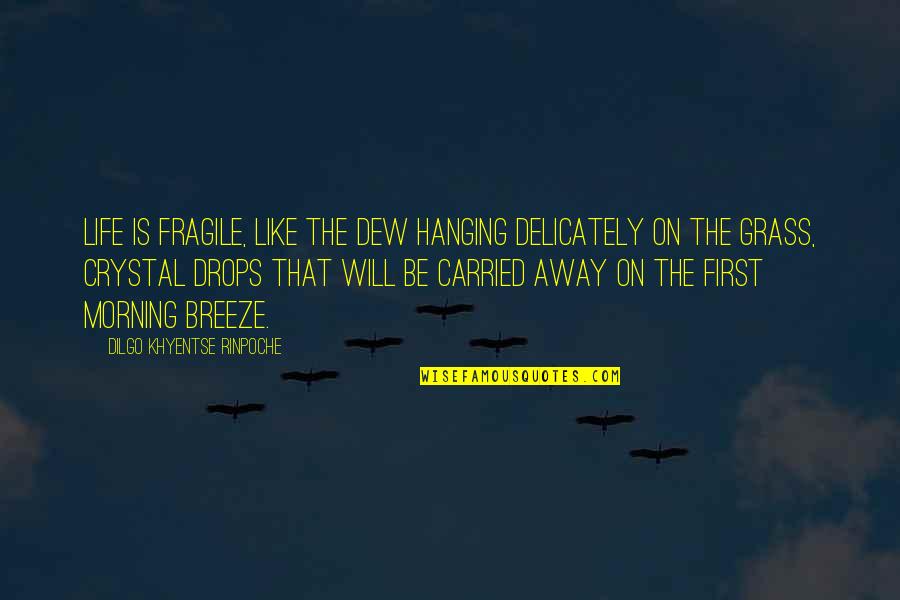 Delicately Quotes By Dilgo Khyentse Rinpoche: Life is fragile, like the dew hanging delicately