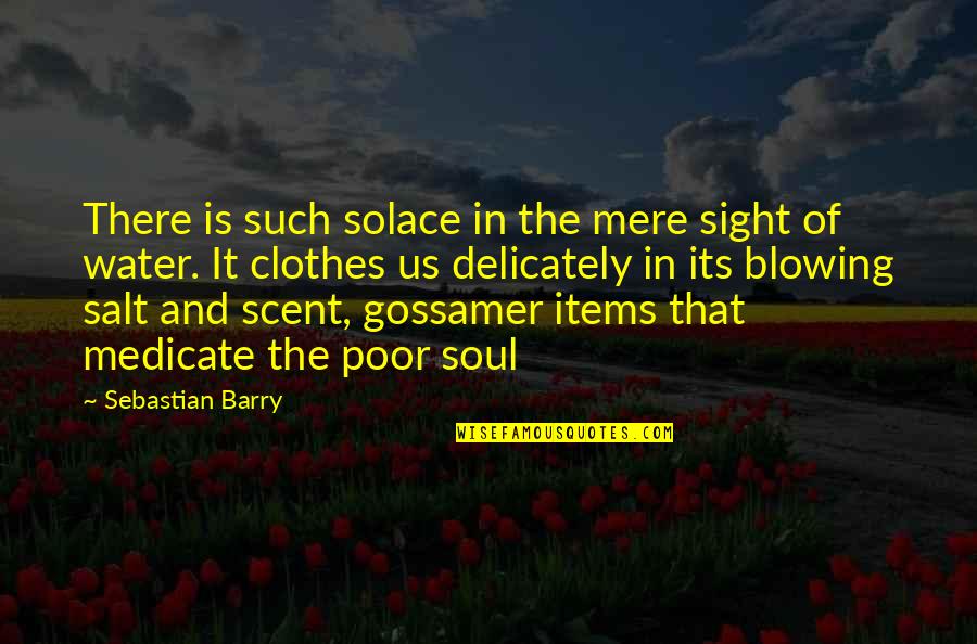 Delicately Quotes By Sebastian Barry: There is such solace in the mere sight