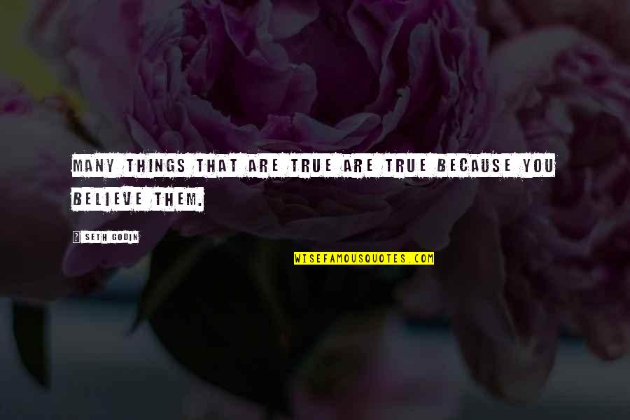 Deliciosos Y Quotes By Seth Godin: Many Things That Are True Are True Because