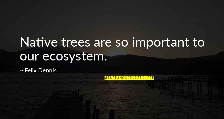 Deliciousness Quotes By Felix Dennis: Native trees are so important to our ecosystem.