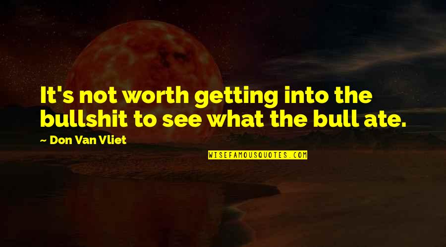 Deligent Quotes By Don Van Vliet: It's not worth getting into the bullshit to