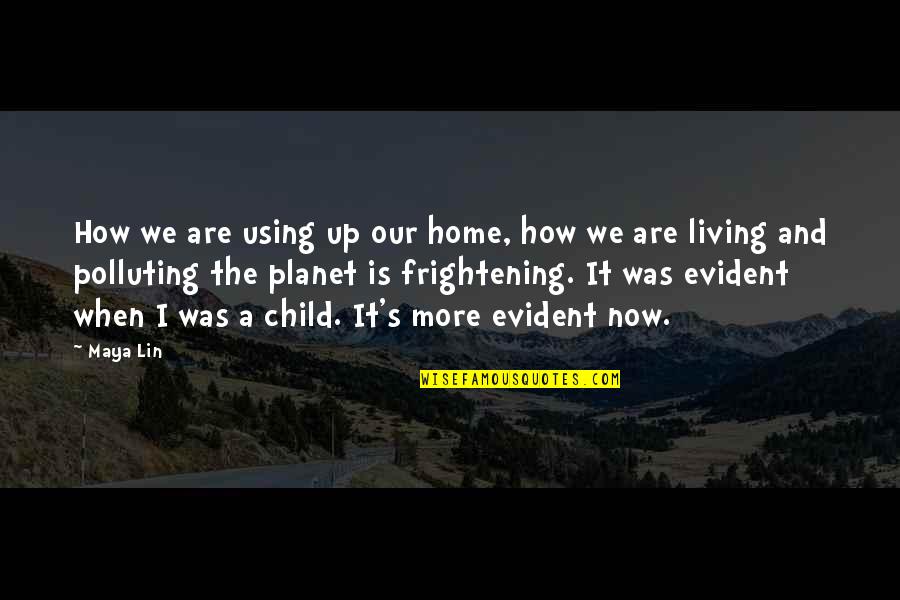 Delight Atkinson Quotes By Maya Lin: How we are using up our home, how
