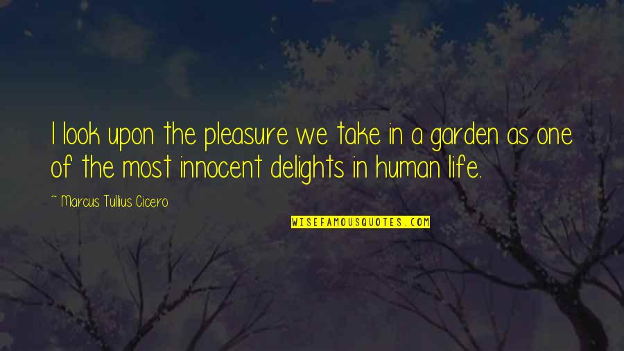 Delight Quotes By Marcus Tullius Cicero: I look upon the pleasure we take in