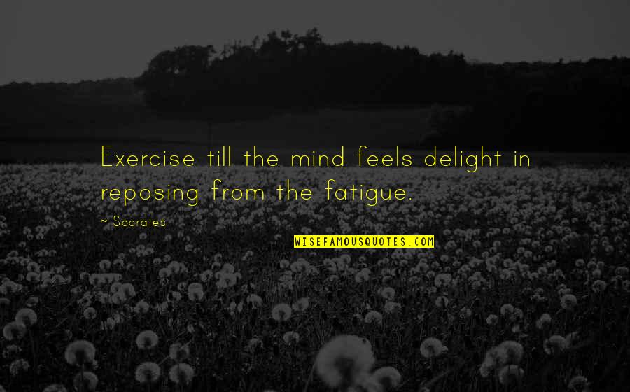 Delight Quotes By Socrates: Exercise till the mind feels delight in reposing