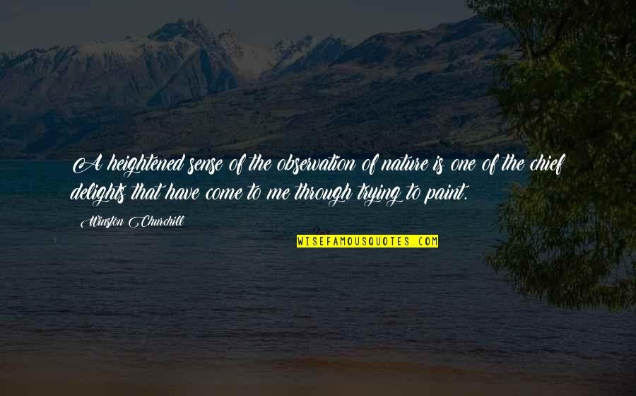 Delight Quotes By Winston Churchill: A heightened sense of the observation of nature