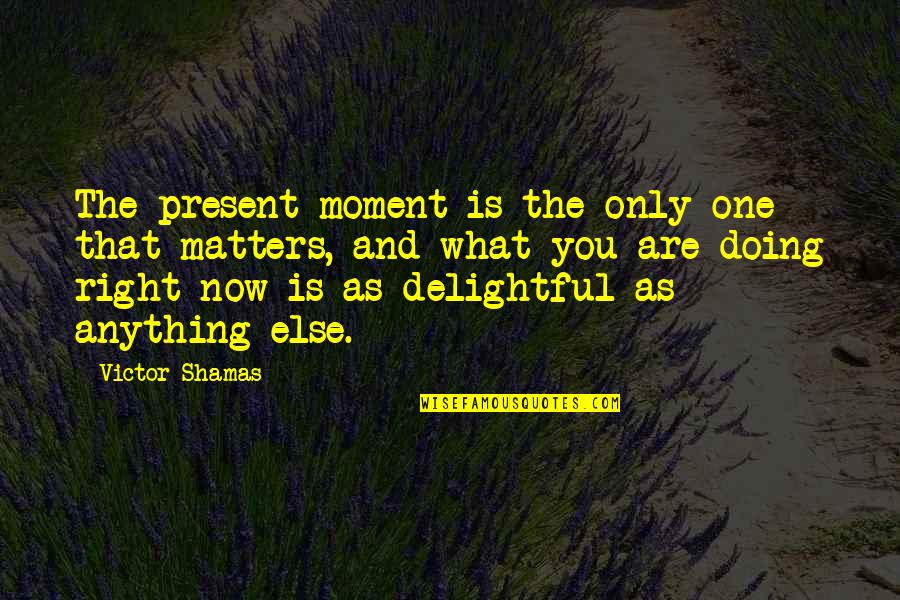 Delight Quotes Quotes By Victor Shamas: The present moment is the only one that