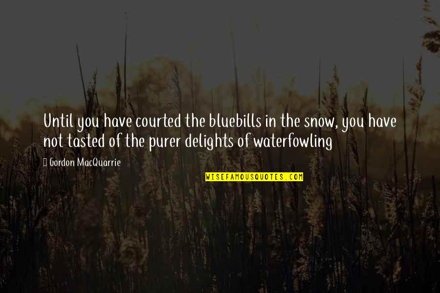 Delights Quotes By Gordon MacQuarrie: Until you have courted the bluebills in the Delights Quotes By Gordon MacQuarrie: Until you have courted the bluebills in the