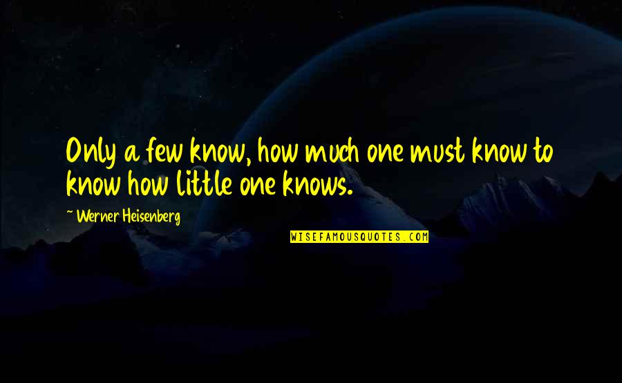 Delikt Quotes By Werner Heisenberg: Only a few know, how much one must