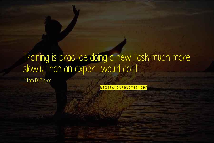 Delimitados Quotes By Tom DeMarco: Training is practice doing a new task much