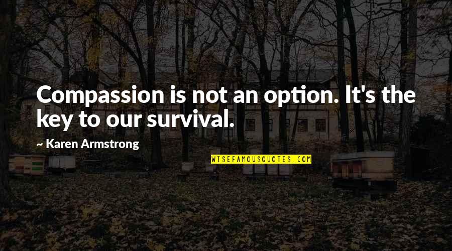 Delimitation Quotes By Karen Armstrong: Compassion is not an option. It's the key