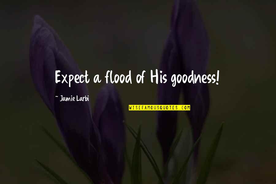 Delimiter Quotes By Jamie Larbi: Expect a flood of His goodness!