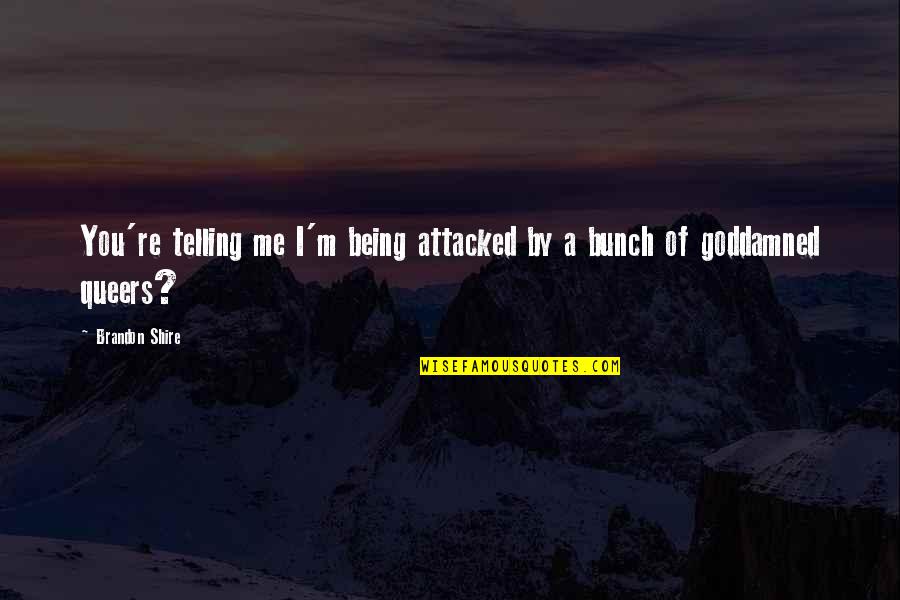 Delirant Quotes By Brandon Shire: You're telling me I'm being attacked by a