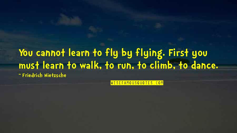Deliriously Lucid Quotes By Friedrich Nietzsche: You cannot learn to fly by flying. First