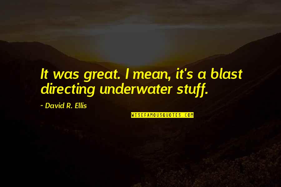 Deliriously Synonyms Quotes By David R. Ellis: It was great. I mean, it's a blast