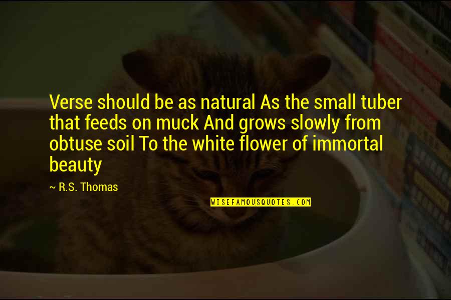 Deliverance James Dickey Quotes By R.S. Thomas: Verse should be as natural As the small Deliverance James Dickey Quotes By R.S. Thomas: Verse should be as natural As the small