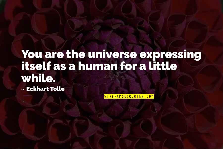 Deliverance Theme Song Quotes By Eckhart Tolle: You are the universe expressing itself as a