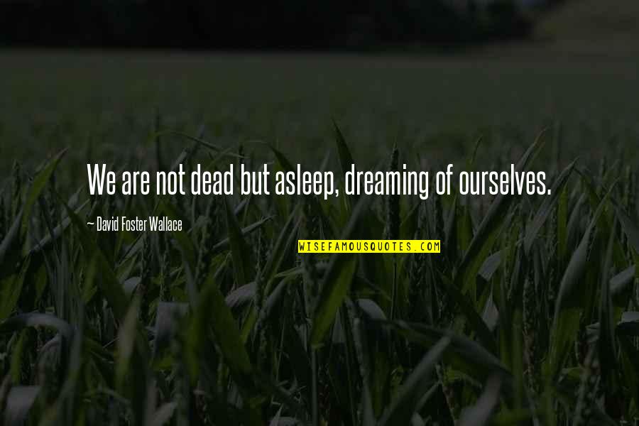 Deliverin Quotes By David Foster Wallace: We are not dead but asleep, dreaming of