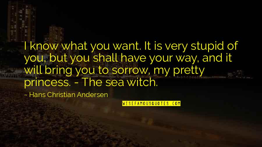 Delivering Happiness Best Quotes By Hans Christian Andersen: I know what you want. It is very