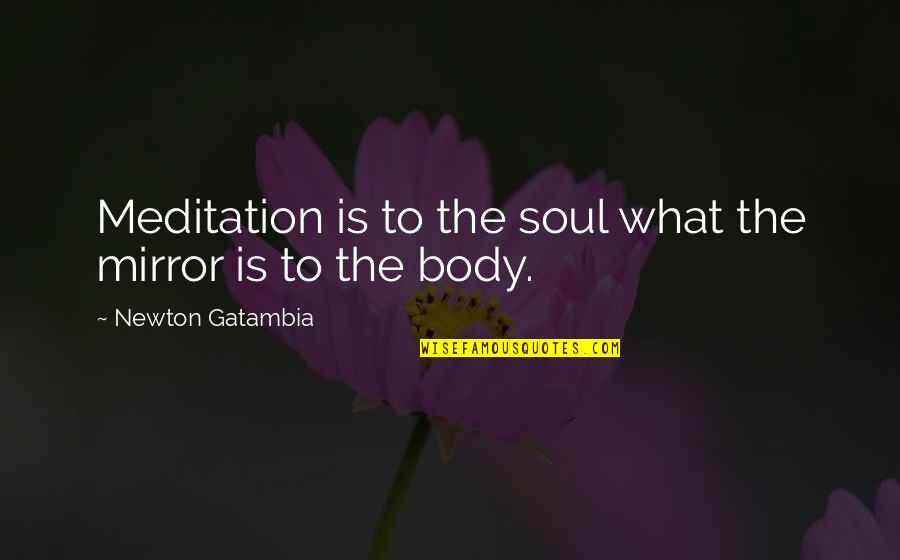 Delivery Pain Quotes By Newton Gatambia: Meditation is to the soul what the mirror