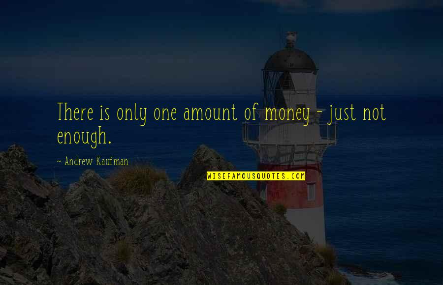 Deljanovan Quotes By Andrew Kaufman: There is only one amount of money -