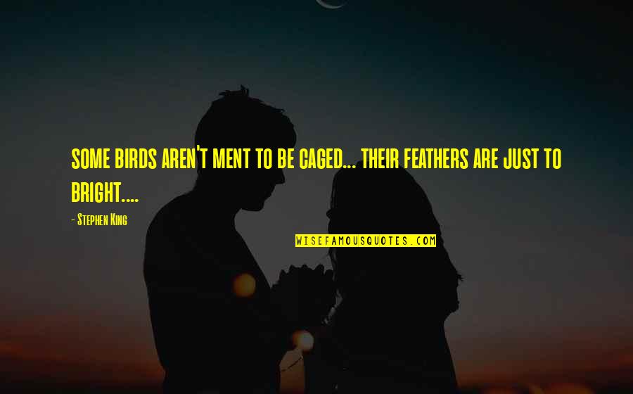 Dell Arcobaleno Quotes By Stephen King: some birds aren't ment to be caged... their