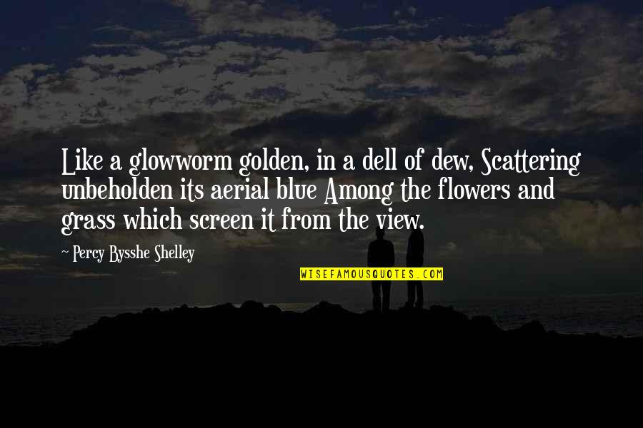 Dell Quotes By Percy Bysshe Shelley: Like a glowworm golden, in a dell of
