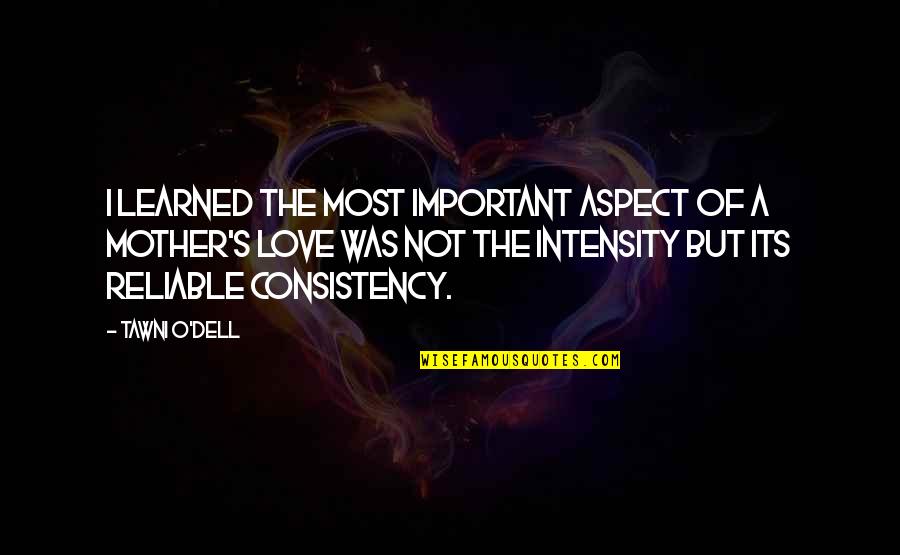 Dell Quotes By Tawni O'Dell: I learned the most important aspect of a