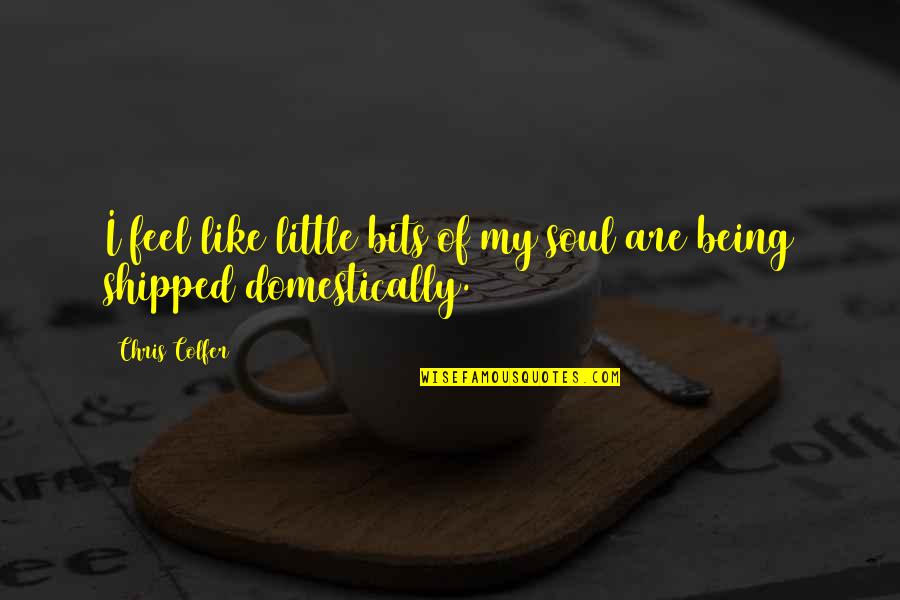 Della Raised By Wolves Quotes By Chris Colfer: I feel like little bits of my soul