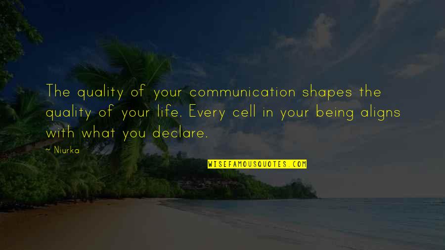 Dellacrosse Quotes By Niurka: The quality of your communication shapes the quality