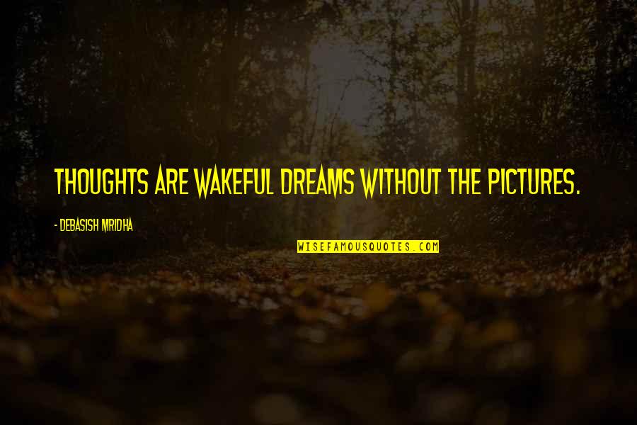 Dellagatta Squash Quotes By Debasish Mridha: Thoughts are wakeful dreams without the pictures.