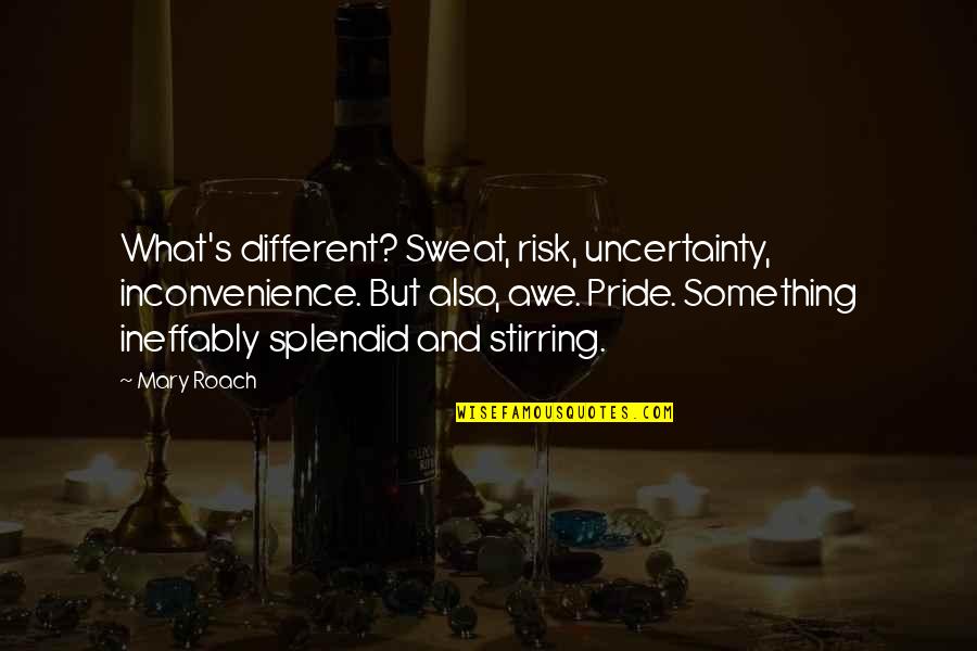 Dellecave Courses Quotes By Mary Roach: What's different? Sweat, risk, uncertainty, inconvenience. But also, Dellecave Courses Quotes By Mary Roach: What's different? Sweat, risk, uncertainty, inconvenience. But also,