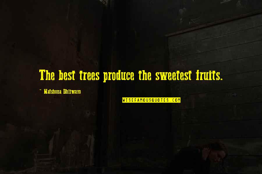Dellenbach Chevy Quotes By Matshona Dhliwayo: The best trees produce the sweetest fruits.