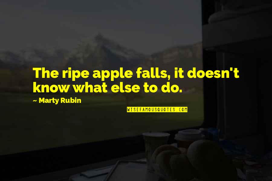 Dellenbach Motors Quotes By Marty Rubin: The ripe apple falls, it doesn't know what