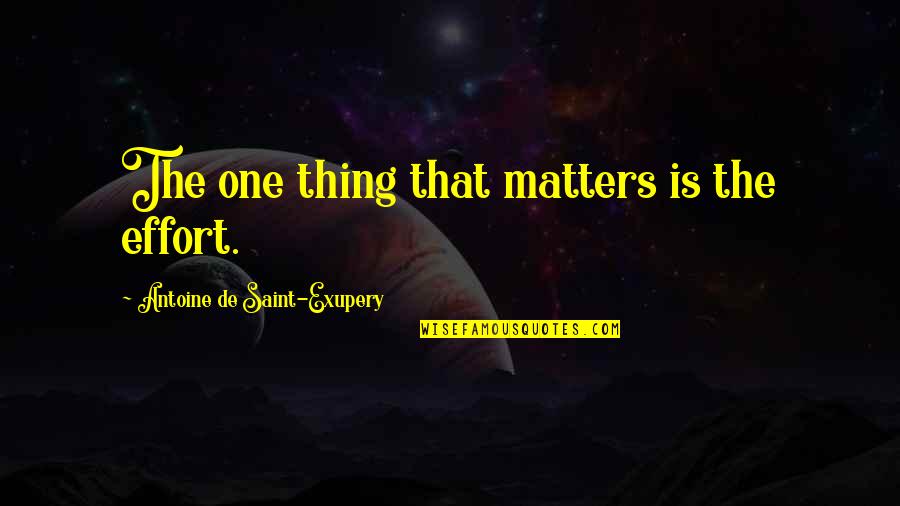 Dellinghilterra Quotes By Antoine De Saint-Exupery: The one thing that matters is the effort.
