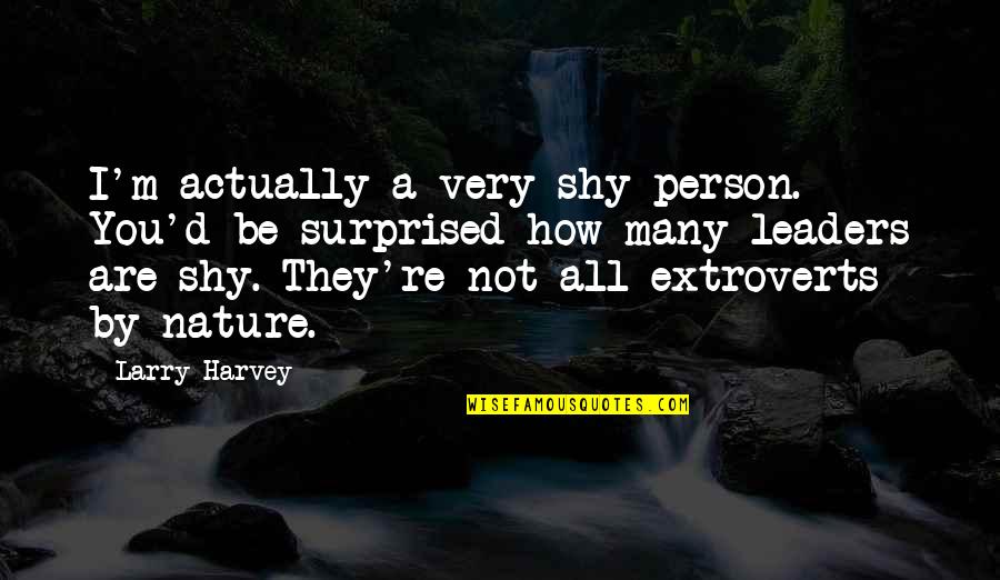 Delmae Dawgs Quotes By Larry Harvey: I'm actually a very shy person. You'd be Delmae Dawgs Quotes By Larry Harvey: I'm actually a very shy person. You'd be