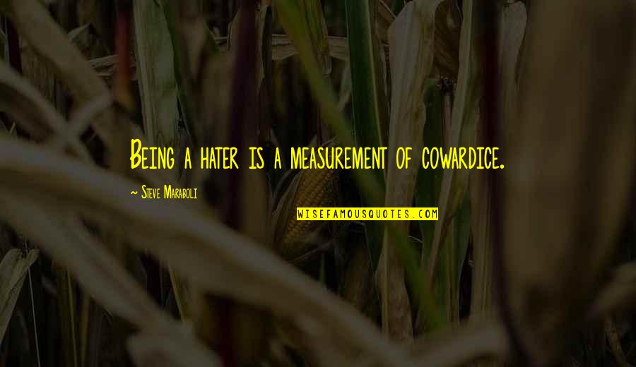 Delmarath Quotes By Steve Maraboli: Being a hater is a measurement of cowardice.