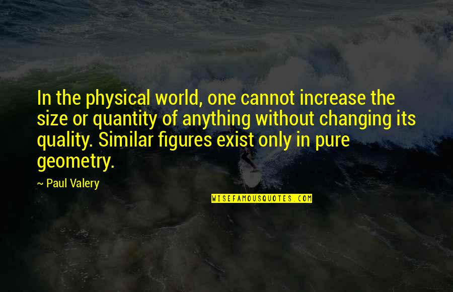 Delmege Sri Quotes By Paul Valery: In the physical world, one cannot increase the