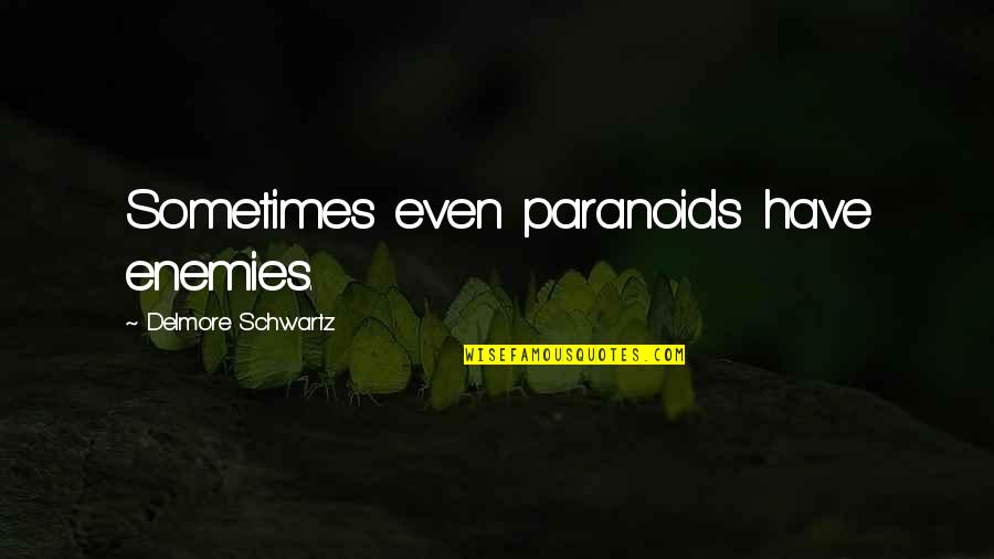 Delmore Schwartz Quotes By Delmore Schwartz: Sometimes even paranoids have enemies.