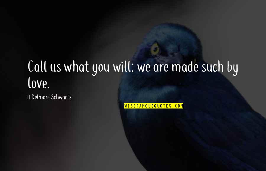 Delmore Schwartz Quotes By Delmore Schwartz: Call us what you will: we are made