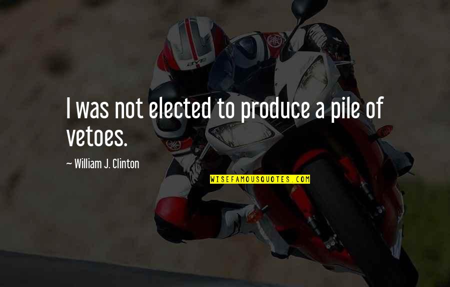 Delorimier Meritage Quotes By William J. Clinton: I was not elected to produce a pile