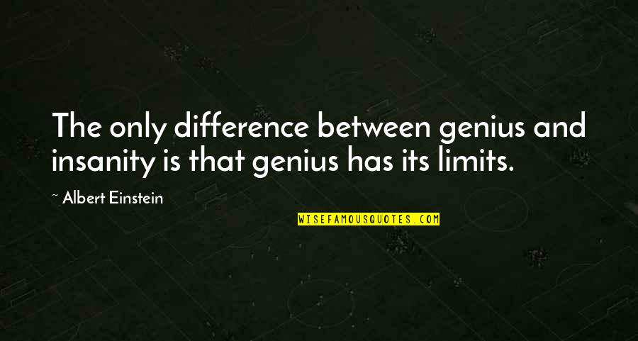 Delos Mckown Quotes By Albert Einstein: The only difference between genius and insanity is