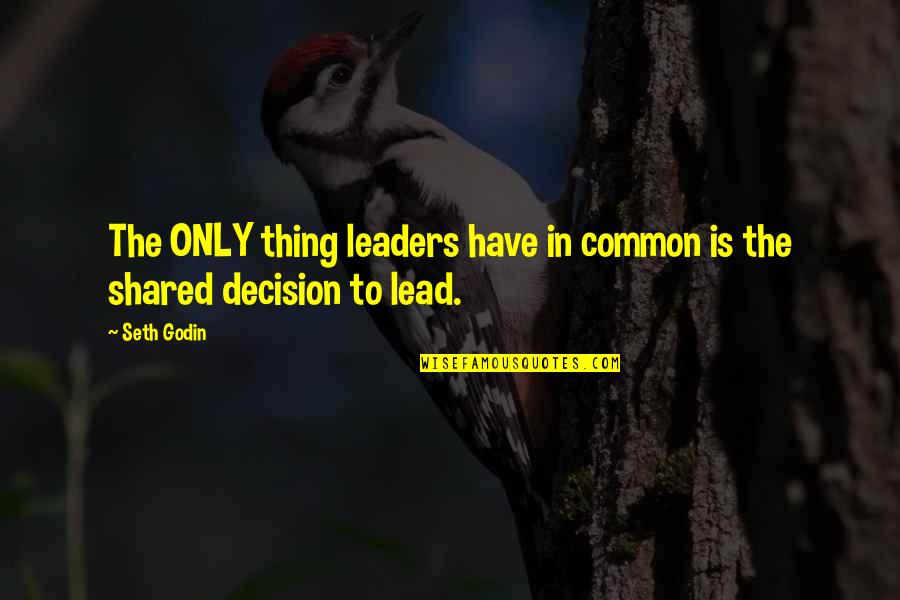 Delphinium Quotes By Seth Godin: The ONLY thing leaders have in common is