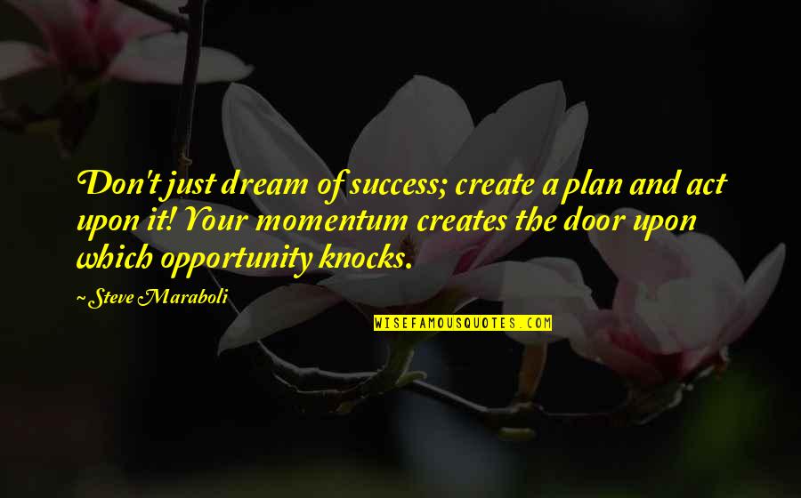 Delport Cricketer Quotes By Steve Maraboli: Don't just dream of success; create a plan Delport Cricketer Quotes By Steve Maraboli: Don't just dream of success; create a plan