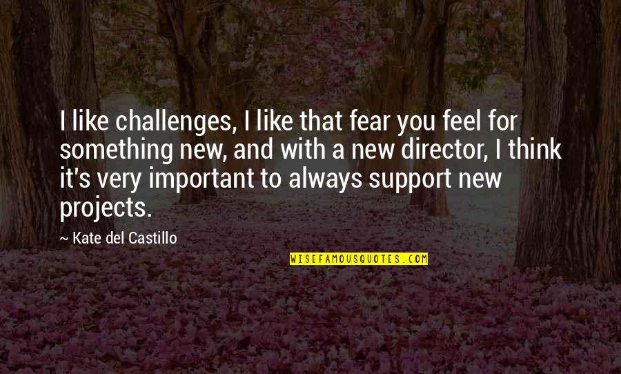 Del's Quotes By Kate Del Castillo: I like challenges, I like that fear you