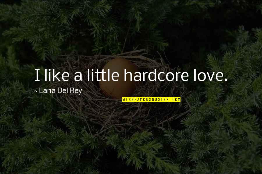 Del's Quotes By Lana Del Rey: I like a little hardcore love.