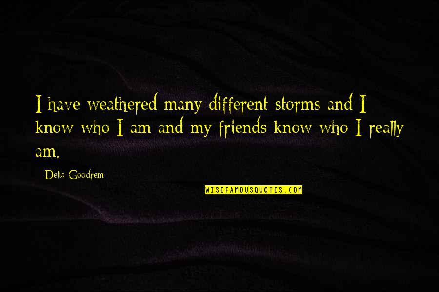 Delta Quotes By Delta Goodrem: I have weathered many different storms and I
