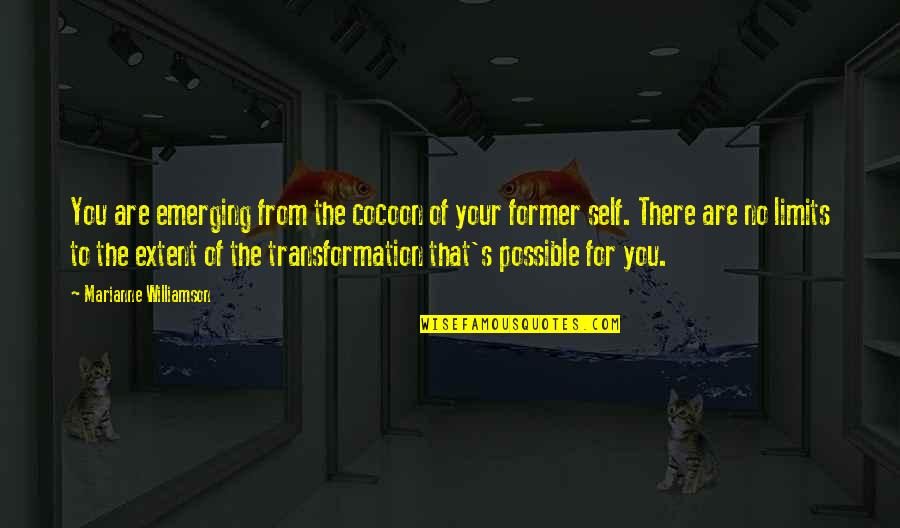 Deltatre Buys Quotes By Marianne Williamson: You are emerging from the cocoon of your
