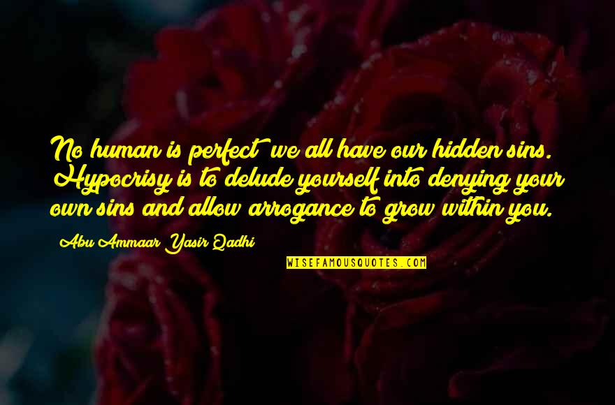 Delude Quotes By Abu Ammaar Yasir Qadhi: No human is perfect; we all have our