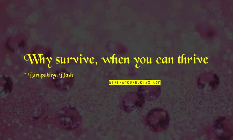 Deluise Dom Quotes By Birupakhya Dash: Why survive, when you can thrive Deluise Dom Quotes By Birupakhya Dash: Why survive, when you can thrive